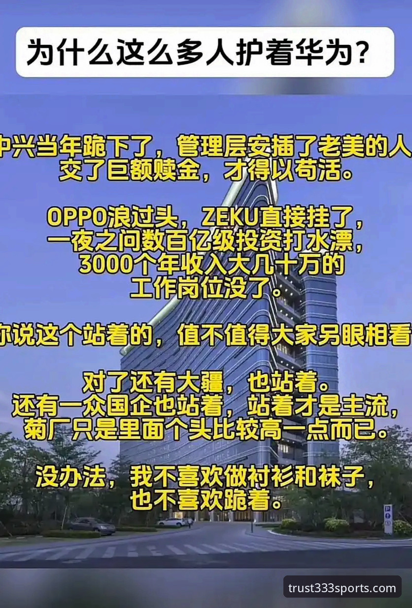 最新体育官网登录 如何安全高效地完成333体育最新官网登录?老用户分享实用经验